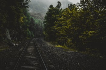 Railing track in forest
