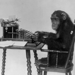Chimpanzee Seated At Typewriter News Article